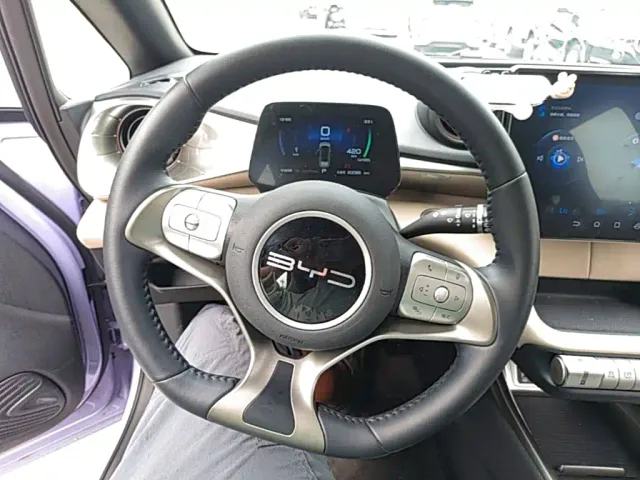 BYD Dolphin — Фото автомобиля 10