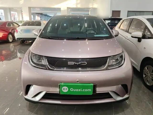 BYD Dolphin — Фото автомобиля 2