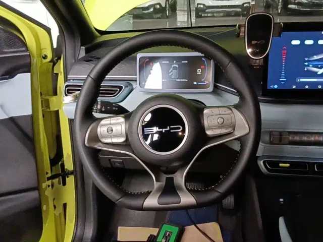 BYD Seagull 2024 Glory Edition 305km Freedom Edition — Фото автомобиля 10
