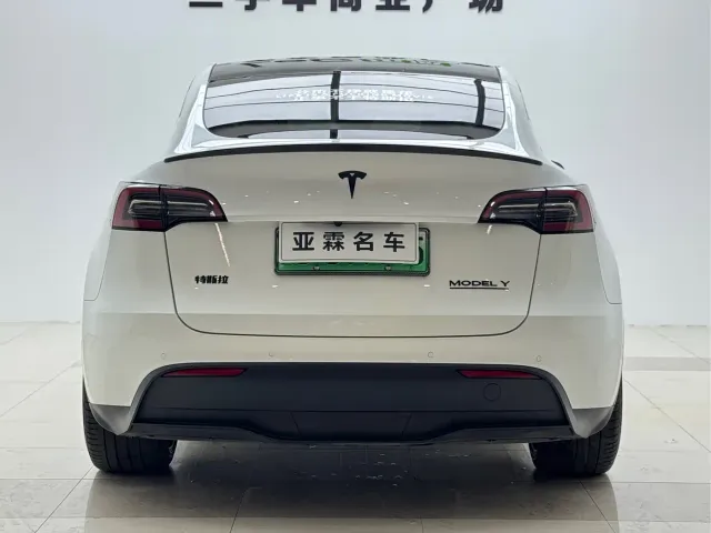Tesla Model Y — Фото автомобиля 3