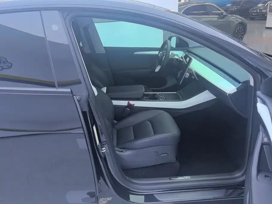 Tesla Model Y 2021 Standard Range Rear-Wheel Drive — Фото автомобиля 8