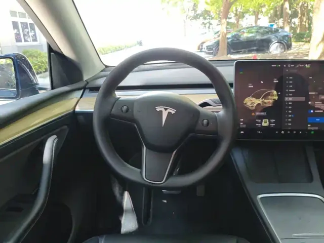 Tesla Model Y — Фото автомобиля 10