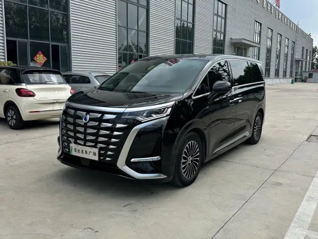 Фотография автомобиля — Denza D9