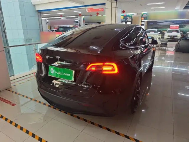 Tesla Model Y — Фото автомобиля 6