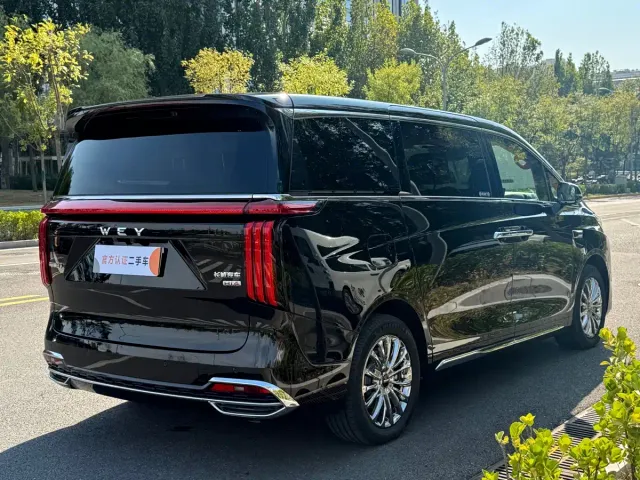 Wey Alpine — Фото автомобиля 7