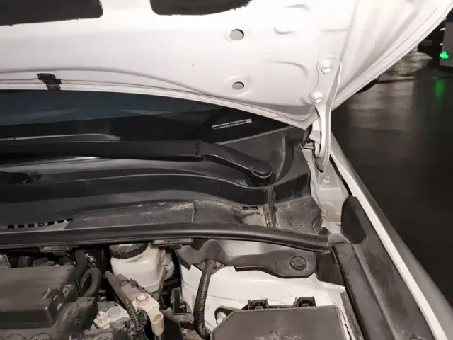 Toyota Corolla — Фото автомобиля 21