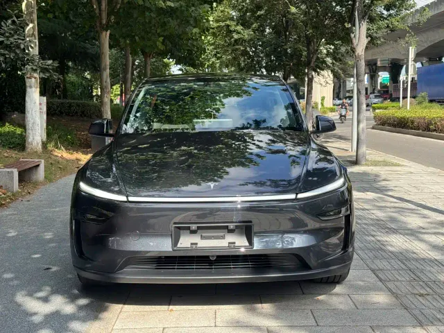 Tesla Model Y — Фото автомобиля 2