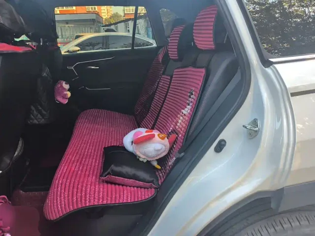 Toyota RAV4 Rongfang Dual Engine E+ — Фото автомобиля 13
