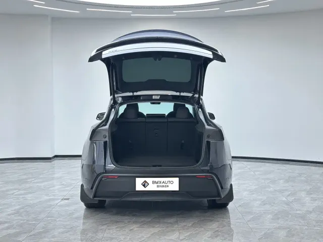 Tesla Model Y — Фото автомобиля 7