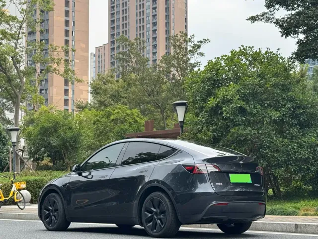 Tesla Model Y — Фото автомобиля 11