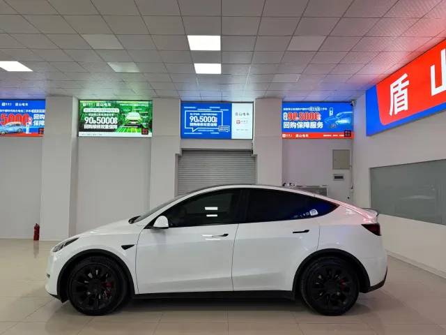 Tesla Model Y — Фото автомобиля 3