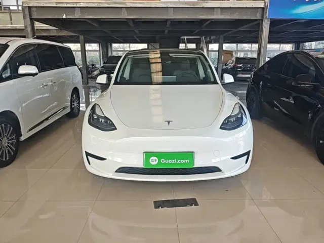 Tesla Model Y — Фото автомобиля 2