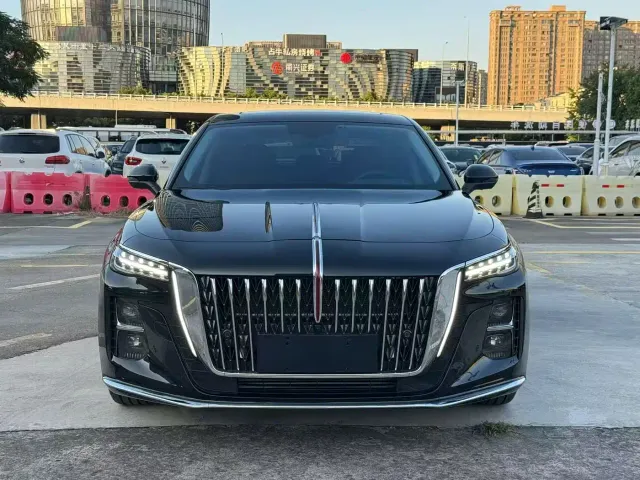 Hongqi Hongqi H5 2025 1.5T DCT Flag Rhythm 500,000 Units Memorial Edition — Фото автомобиля 2