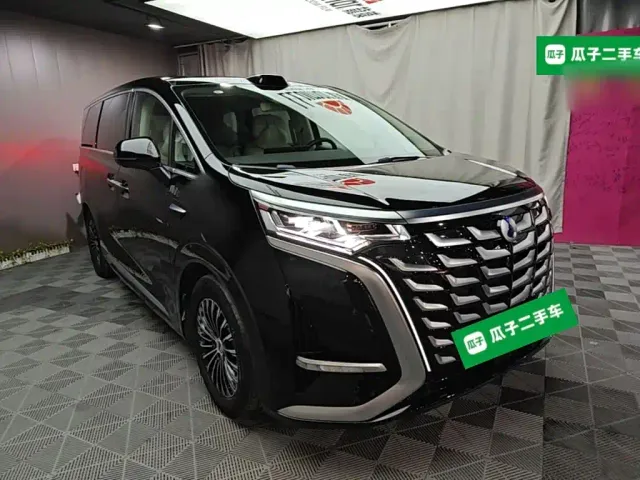 Denza D9 — Фото автомобиля 3