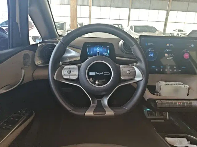 BYD Dolphin — Фото автомобиля 10