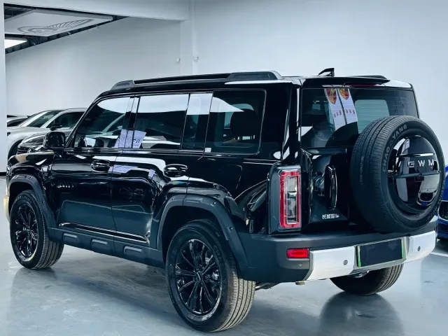Haval Raptor — Фото автомобиля 13