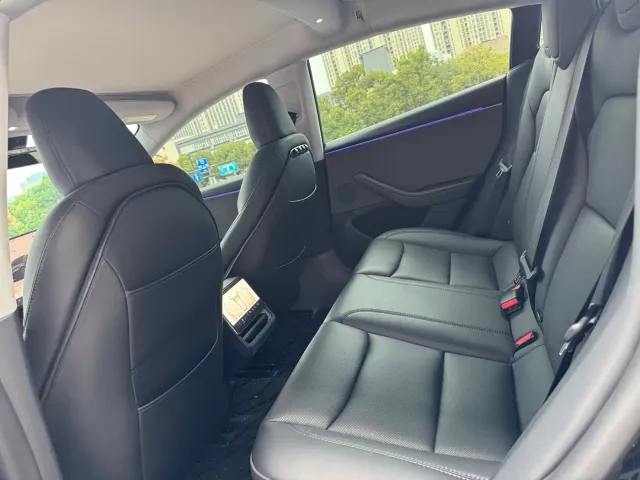 Tesla Model 3 — Фото автомобиля 10