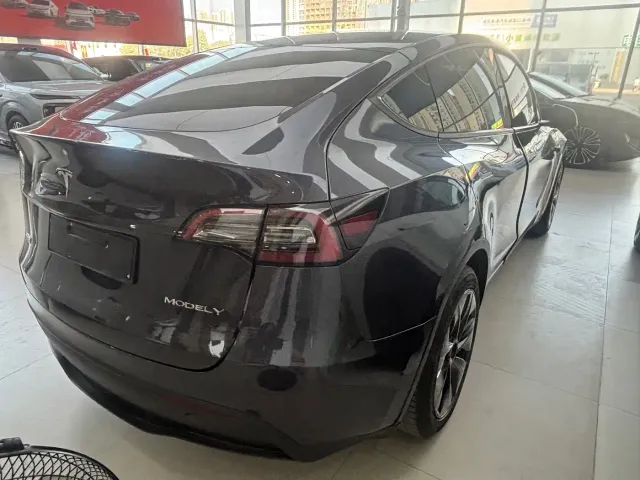 Tesla Model Y — Фото автомобиля 10