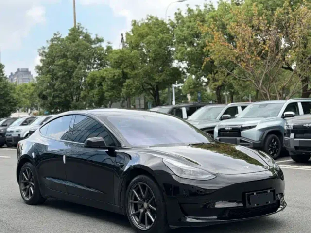 Tesla Model 3 — Фото автомобиля 3
