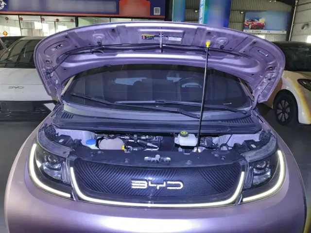 BYD Dolphin — Фото автомобиля 19