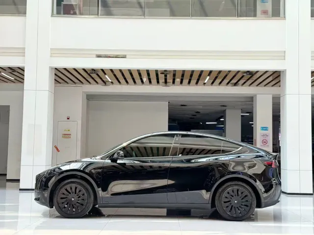 Tesla Model Y — Фото автомобиля 8