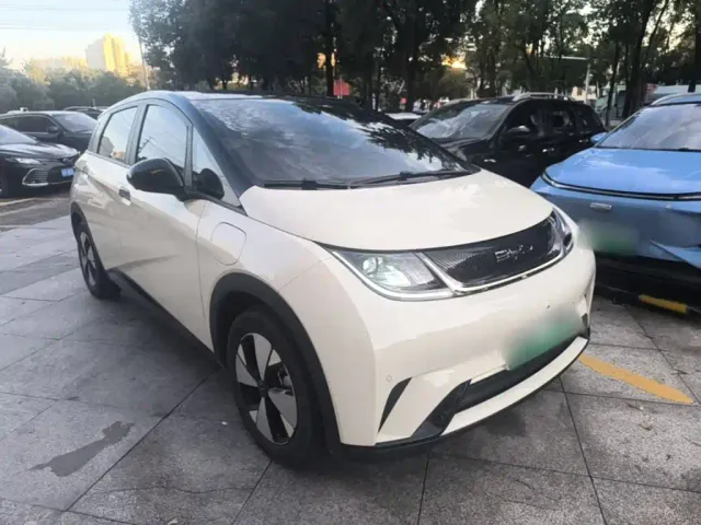 BYD Dolphin — Фото автомобиля 21