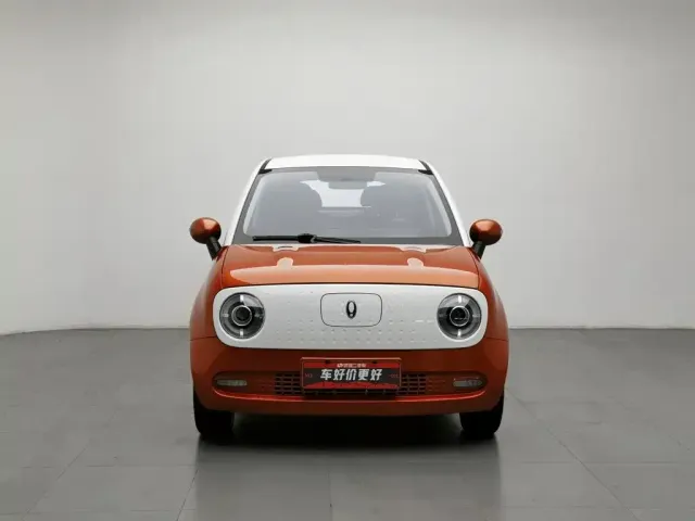 Ora Ora Black Cat 2022 351km Comfort (NMC) — Фото автомобиля 3