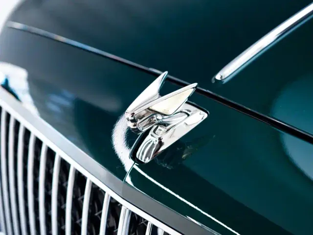 Bentley Flying Spur — Фото автомобиля 20