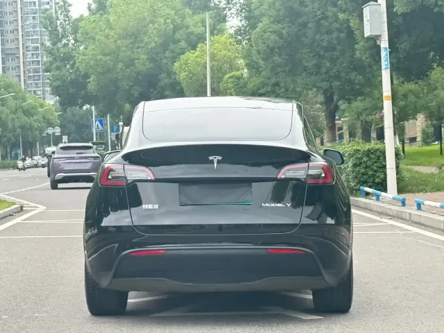 Tesla Model Y — Фото автомобиля 5