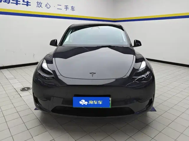 Tesla Model Y — Фото автомобиля 2