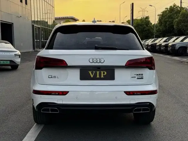 Audi Q5L — Фото автомобиля 14