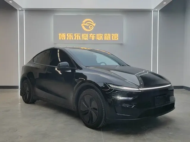 Tesla Model Y — Фото автомобиля 3