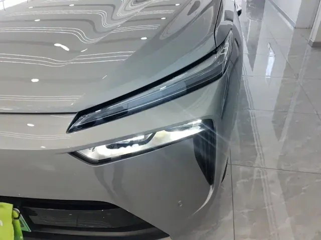Wey Lanshan — Фото автомобиля 23