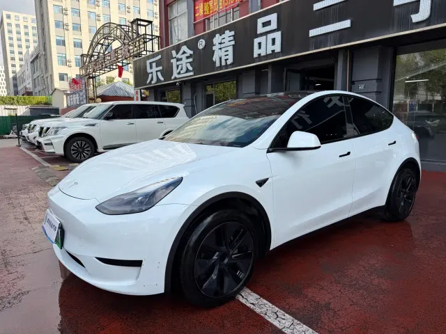 Tesla Model Y — Фото автомобиля 2