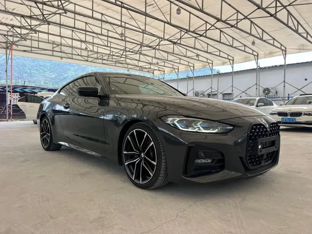 BMW 4 Series — Фото автомобиля 16
