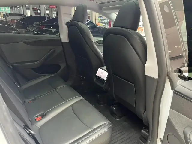 Tesla Model Y — Фото автомобиля 10