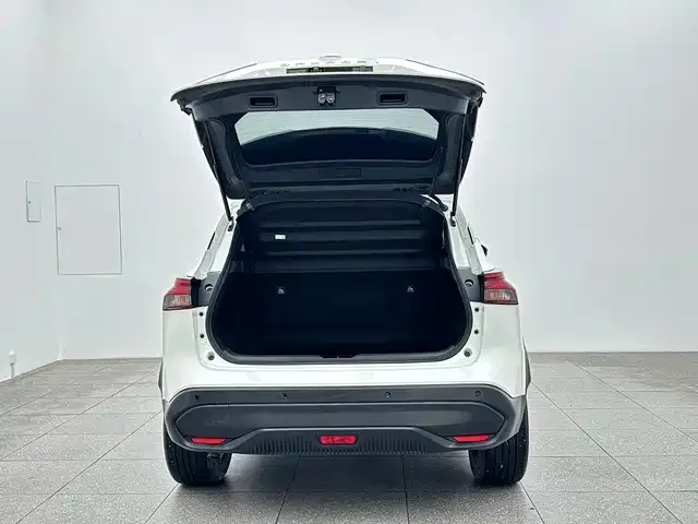 Nissan Qashqai — Фото автомобиля 15