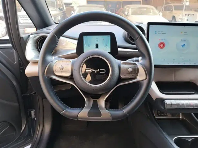 BYD Dolphin — Фото автомобиля 10