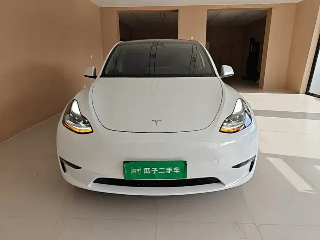 Tesla Model Y — Фото автомобиля 2