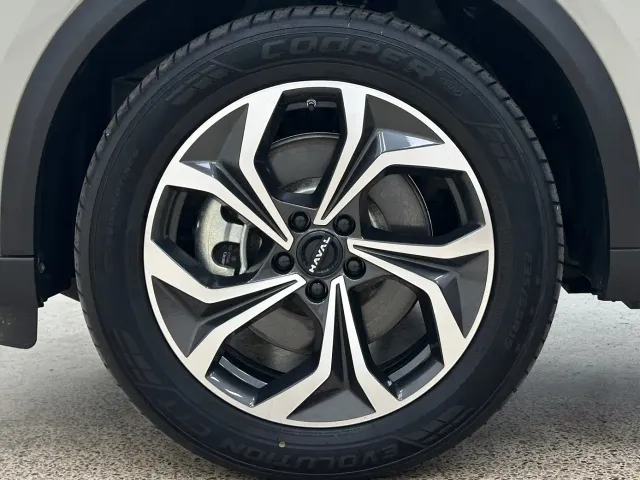 Haval Xiaolong MAX — Фото автомобиля 10