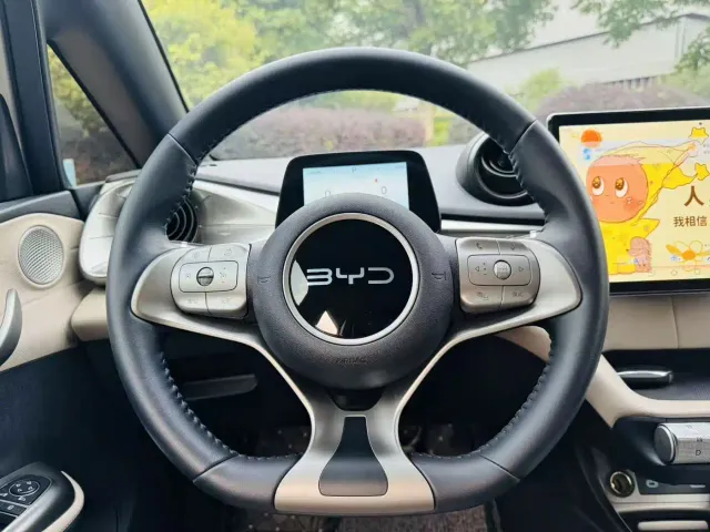BYD Dolphin — Фото автомобиля 9