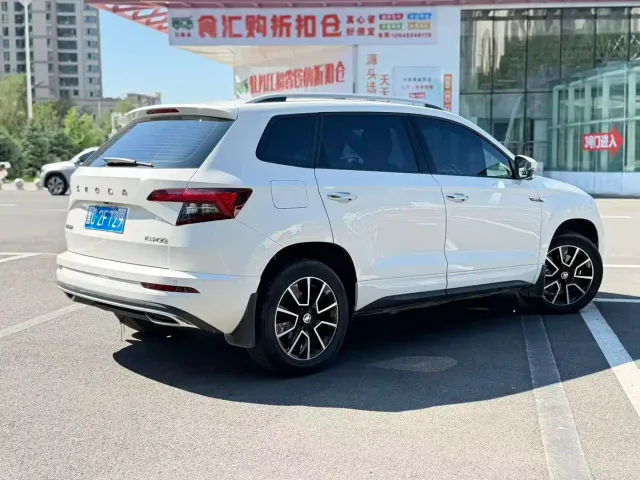Skoda Karoq — Фото автомобиля 6