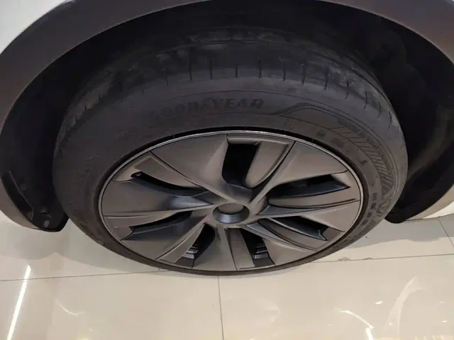 Tesla Model Y — Фото автомобиля 22