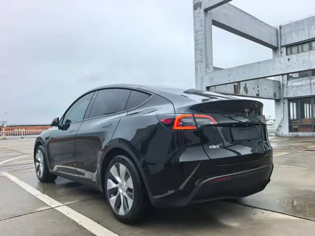 Tesla Model Y — Фото автомобиля 6