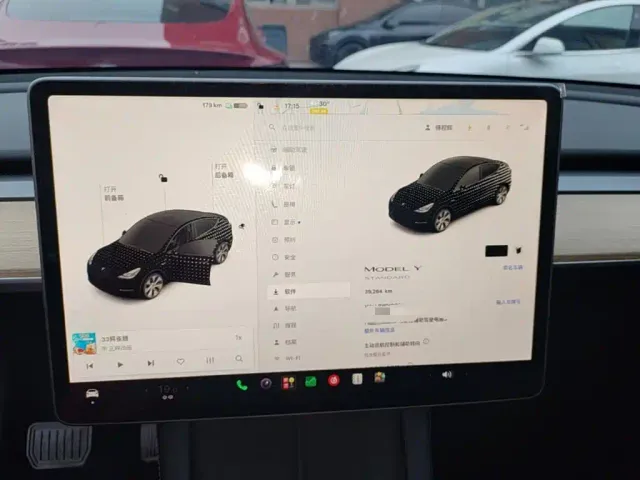 Tesla Model Y — Фото автомобиля 11