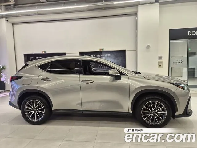 Lexus NX NX450h+ 2nd Gen — Фото автомобиля 5
