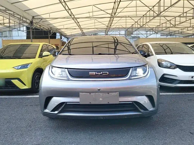 BYD Dolphin — Фото автомобиля 2