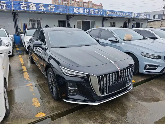 Hongqi Hongqi H5 2023 2.0T Auto Smart Connect Flagship — Фото автомобиля 3