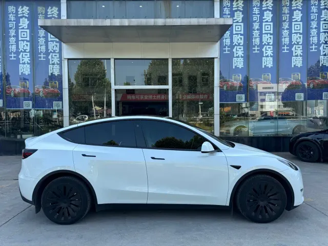 Tesla Model Y — Фото автомобиля 11