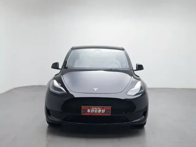 Tesla Model Y — Фото автомобиля 3